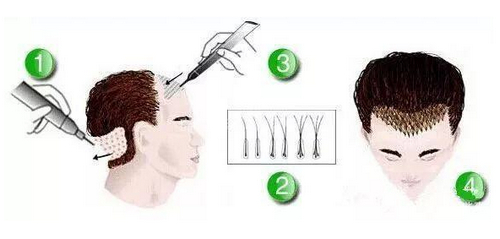 截圖14211.jpg 截圖14211.jpg