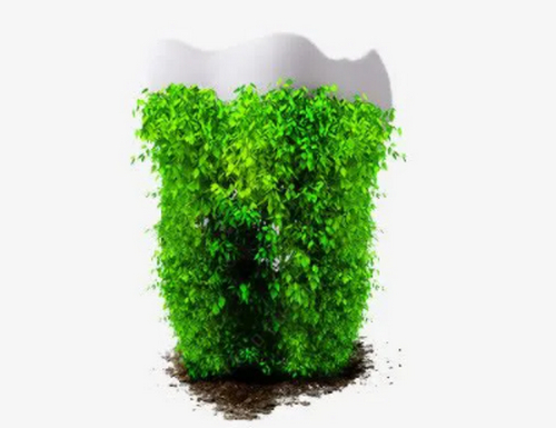 截圖14477.jpg 截圖14477.jpg