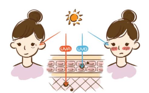 QQ瀏覽器截圖20210916152913.jpg QQ瀏覽器截圖20210916152913.jpg