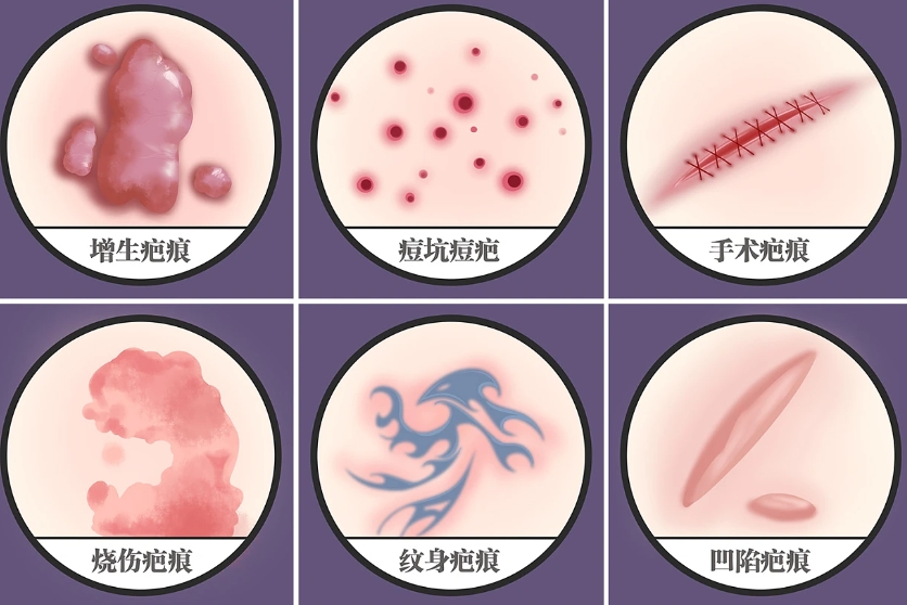 微信截圖_20231207163314.png 微信截圖_20231207163314.png